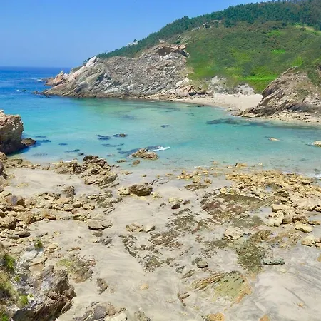 The Cliffs - Sealoch *